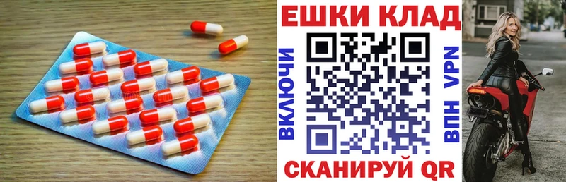 Купить где  Циолковский  Ecstasy Philipp Plein 