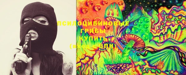прущая мука Кинешма