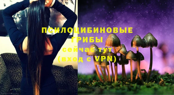 прущая мука Кинешма