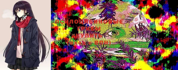хмурый Киреевск