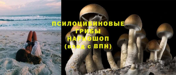 гидропоника Карпинск