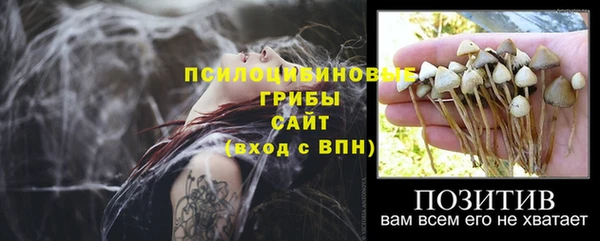 хмурый Киреевск