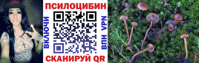 Купить закладки  Циолковский  Галлюциногенные грибы GOLDEN TEACHER 
